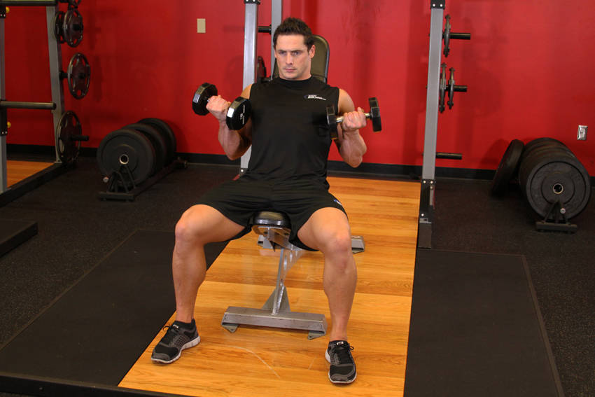 Flexor Incline Dumbbell Curls