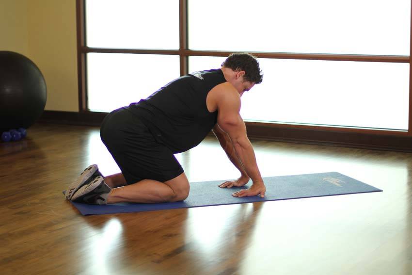 Kneeling Forearm Stretch