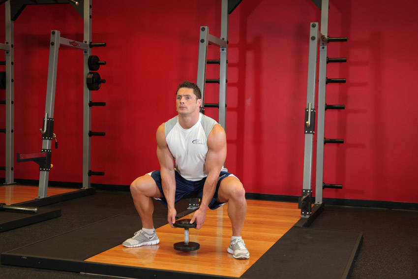 Plie Dumbbell Squat