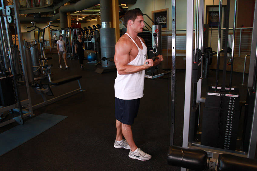 Reverse Grip Triceps Pushdown