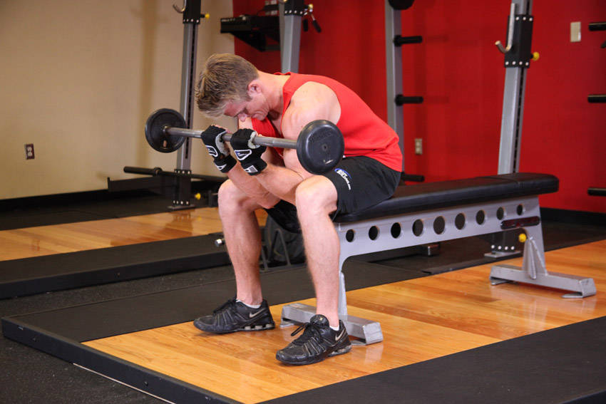 Seated Close-Grip Concentration Barbell Curl