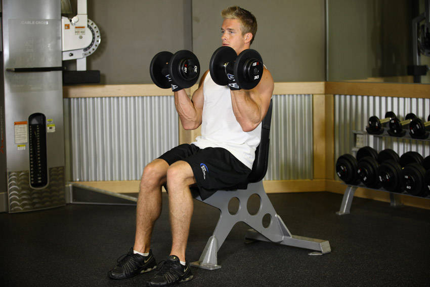 Seated Dumbbell Curl