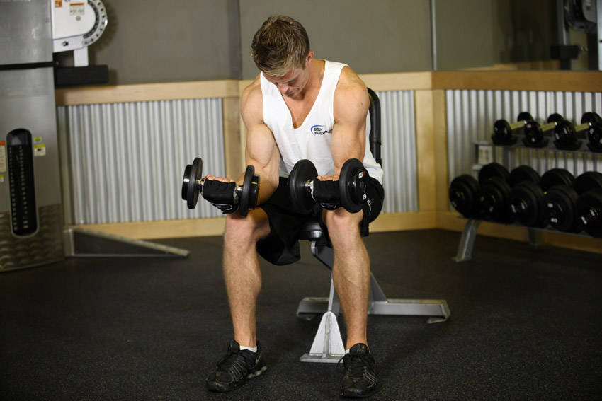 Seated Dumbbell Palms-Up Wrist Curl