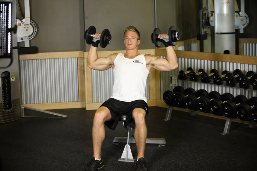 Seated Dumbbell Press