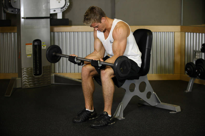 Seated Palm-Up Barbell Wrist Curl