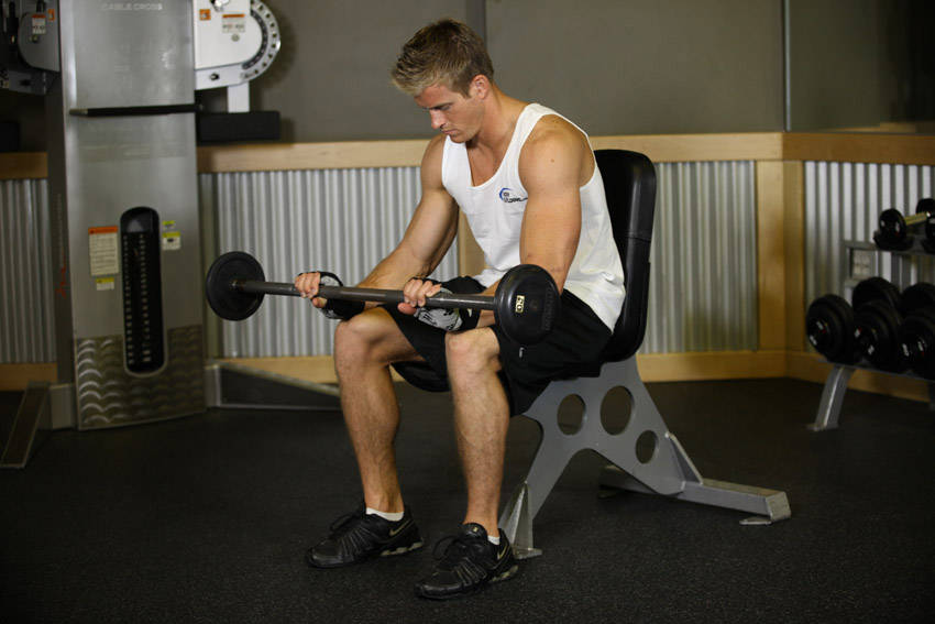 Seated Palms-Down Barbell Wrist Curl