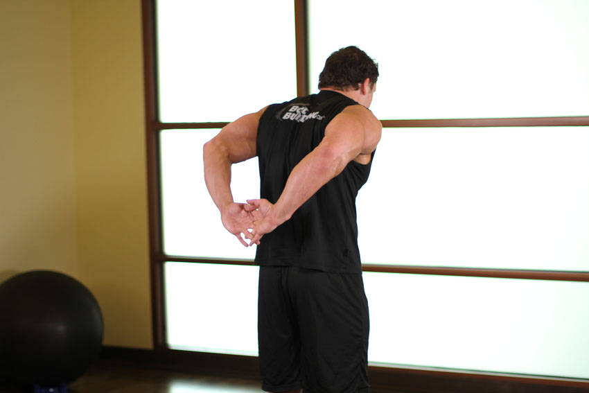 Standing Biceps Stretch