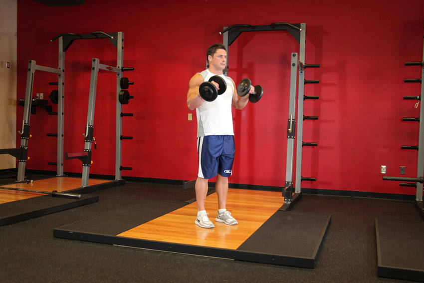 Standing Dumbbell Reverse Curl