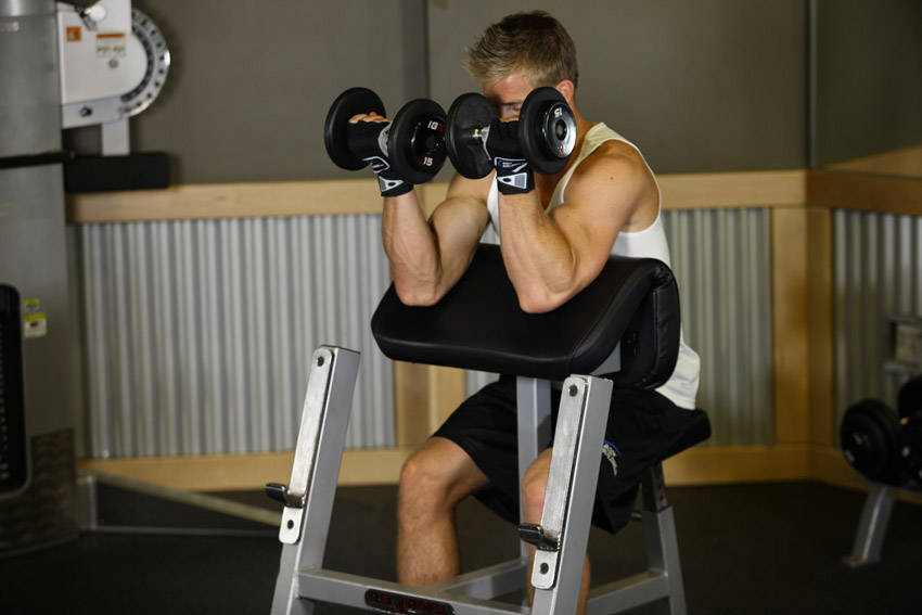 Zottman Preacher Curl